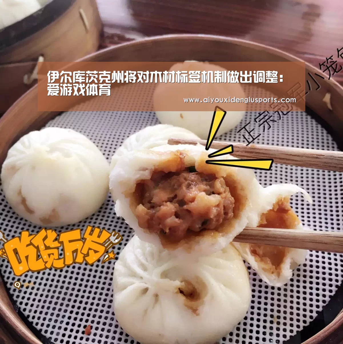 伊尔库茨克州将对木材标签机制做出调整:爱游戏体育(图1) 爱游戏登录