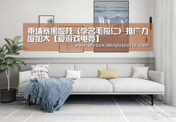 柬埔寨黑酸枝(学名毛榄仁)推广力度加大【爱游戏电竞】(图2) 爱游戏登录