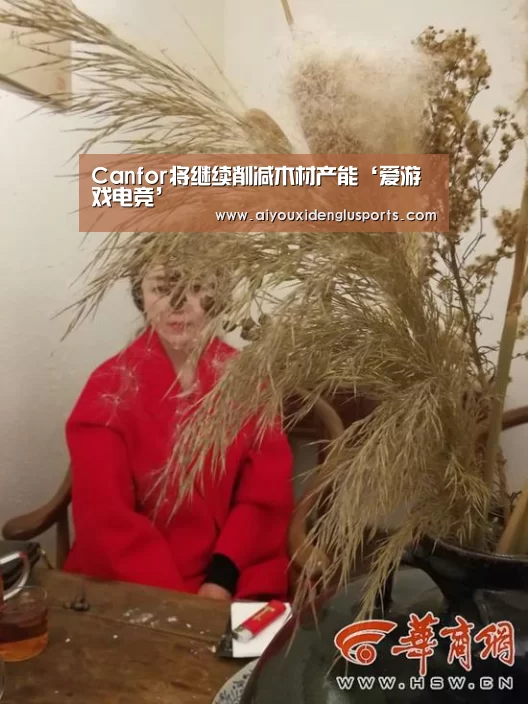 爱游戏登录