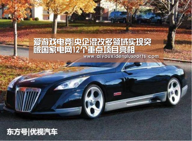 爱游戏电竞|央企混改多领域实现突破国家电网12个重点项目亮相(图1) 爱游戏体育